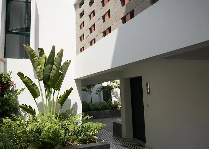 Tranquilo Y Armonioso Apartamento 1Br En Barranco